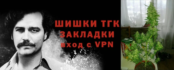 Альфа ПВП Абаза
