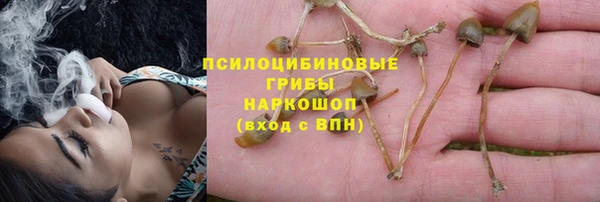 мдпв Пролетарск