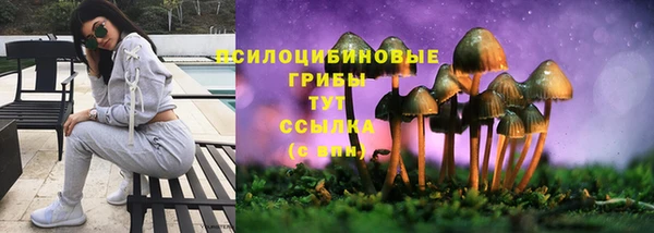 спайс Абинск