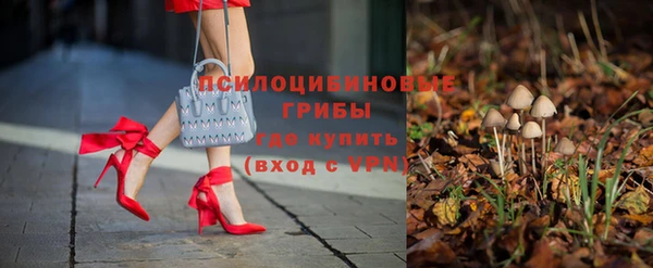 Альфа ПВП Абаза