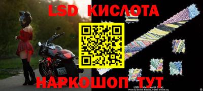 сатива Урус-Мартан