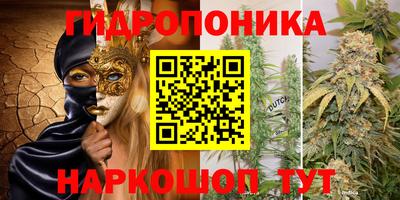 индика Можайск