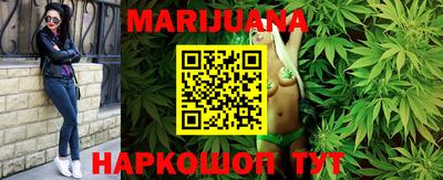 индика Можайск