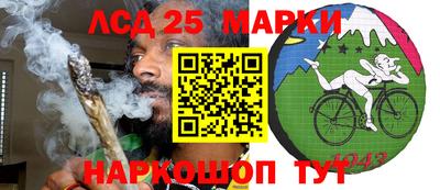 индика Можайск