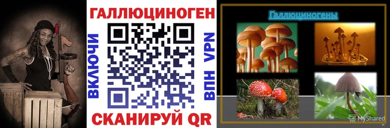где найти Братск Галлюциногенные грибы Magic Shrooms