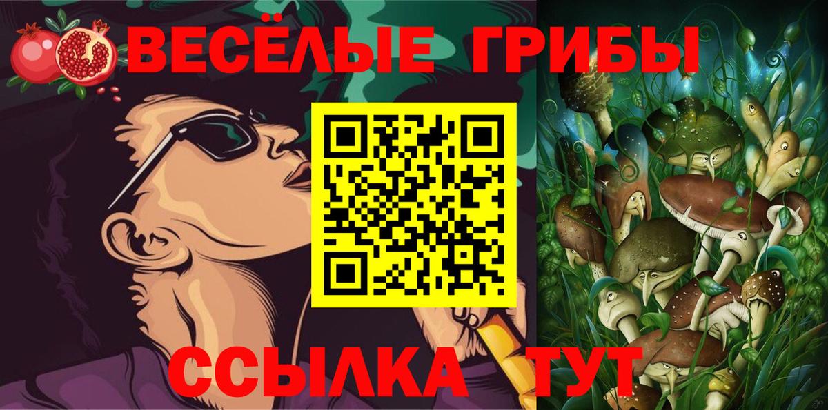 Галлюциногенные грибы Magic Shrooms  Вход с VPN  Галлюциногенные грибы Magic Shrooms  Братск 